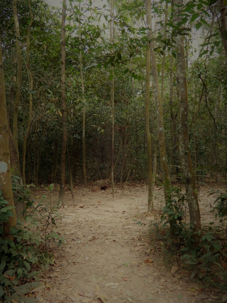 Ho CHi MInh - Cu Chi Tunnels nature