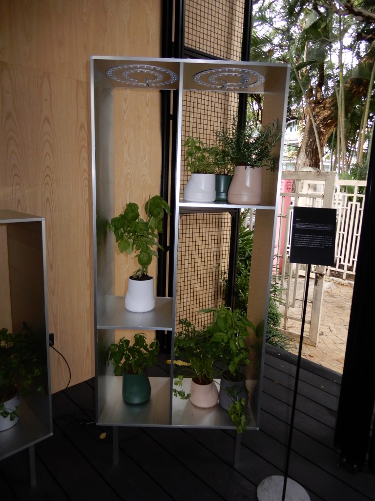 Chiang-Mai - home-garden without