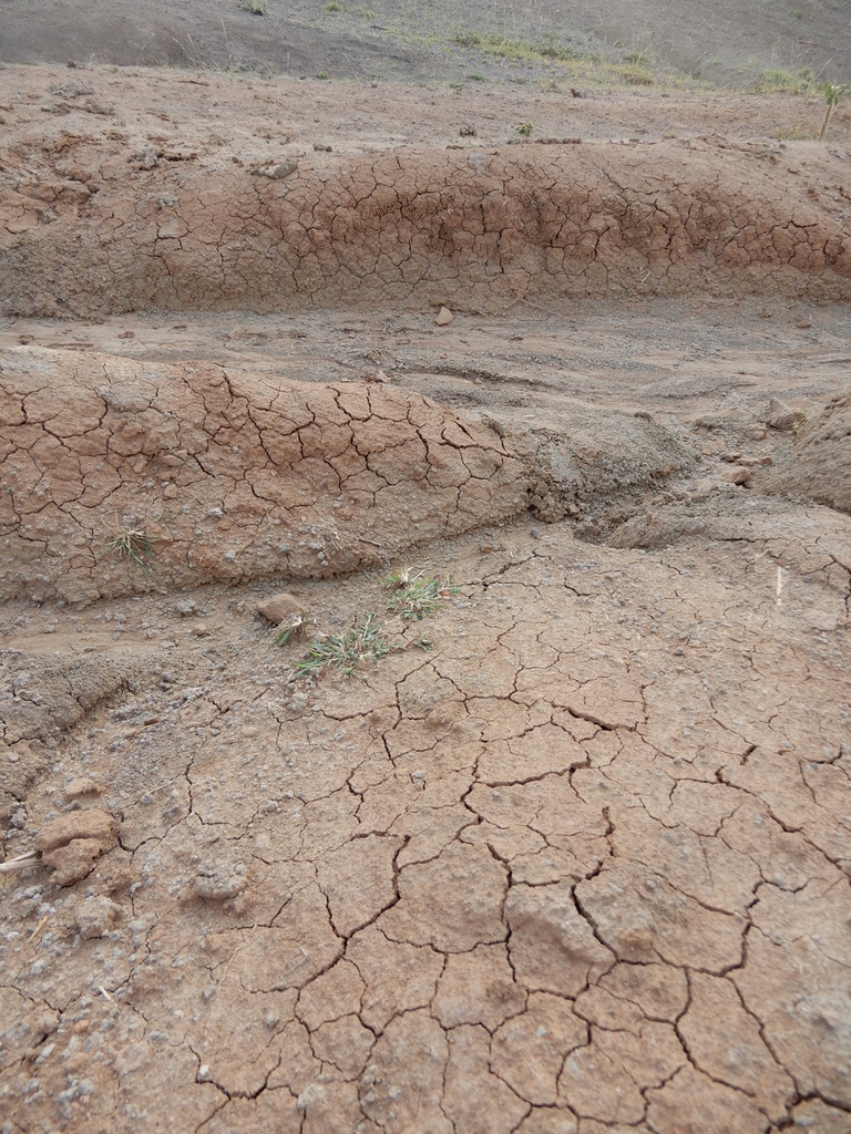 Dried Earth in Desert in Colombia
