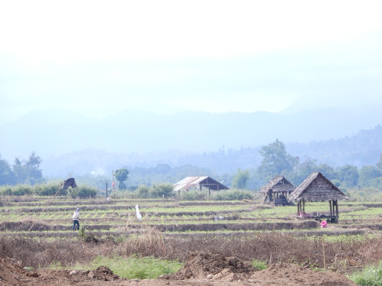 Ma Sariang - rice paddies and houses after harvesting
