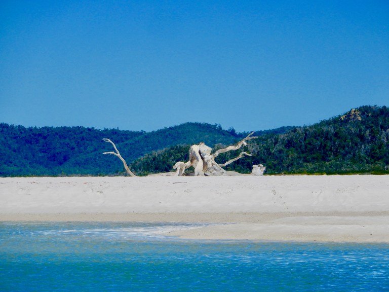 Een laatste slachtoffer van orkaan Debbie op de Whitsundays