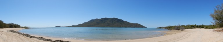 Het complexe ecosysteem aan de kust waar mangroves groeien op de grens tussen water en land, tussen zoet en zout water.