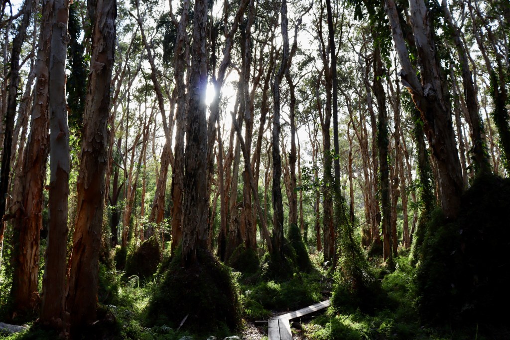 Direction over Destination. (c) Finfinnews