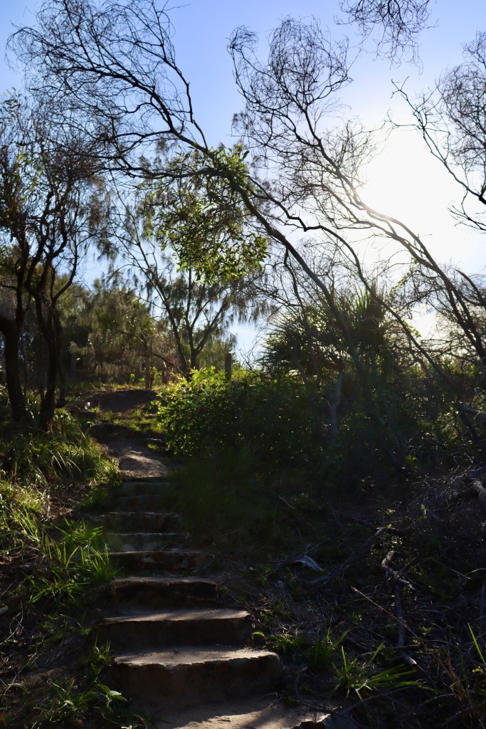All Roads lead somewhere. Hiking around Agnes Waters (c) finfinnews