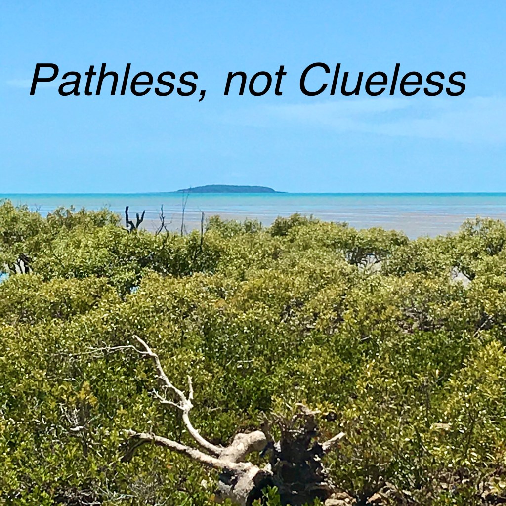 Pathless, not Clueless. @The Journey Finfinnews