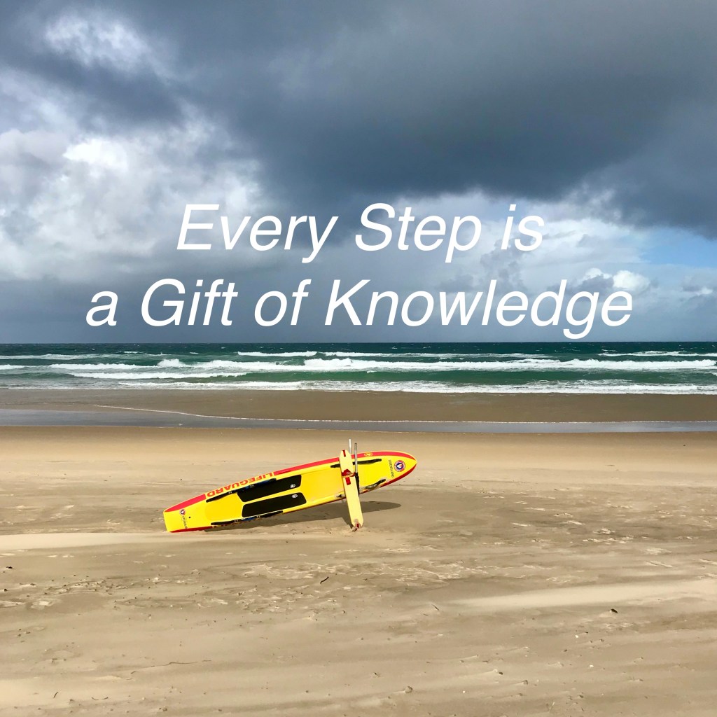 Every step is a gift of knowledge, even the detours. @Sunshine Coast (c)finfinnews 