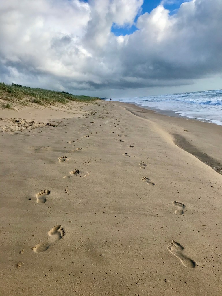 Two lines of footprints on the Sunshine Coast. They always remind me of the parable. (c) finfinnews